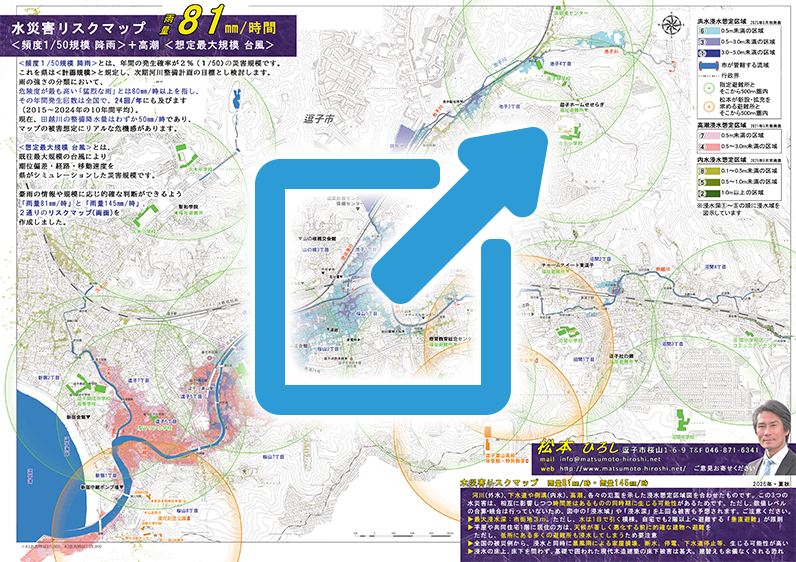 水災害リスクマップ 雨量81mm/h
